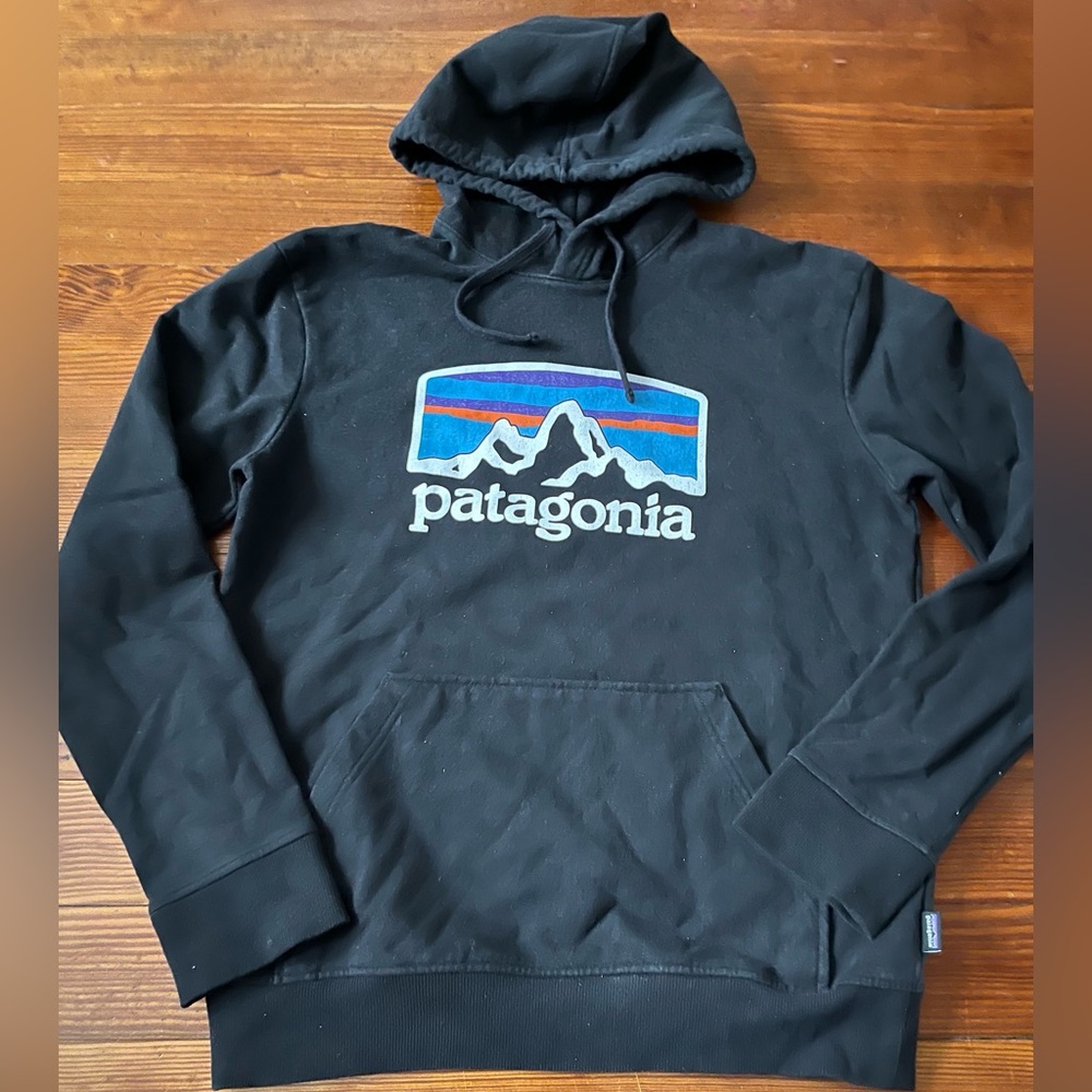 Patagonia hooded sweatshirt size small regular fit